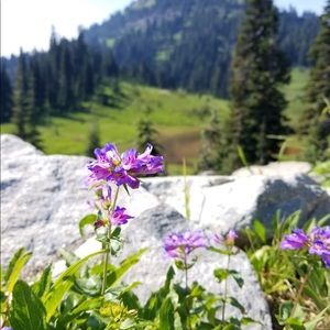 Meet your Posher, Leslie